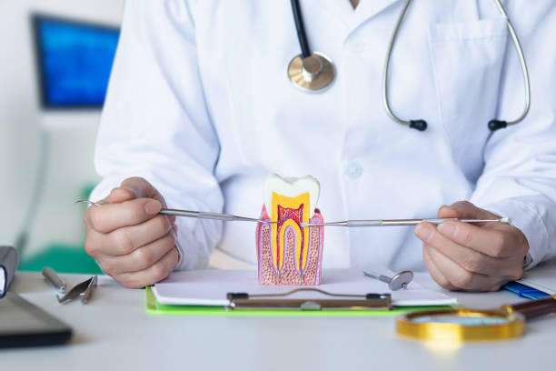 Best Chipped Tooth Repair Near Me  in Columbus, GA